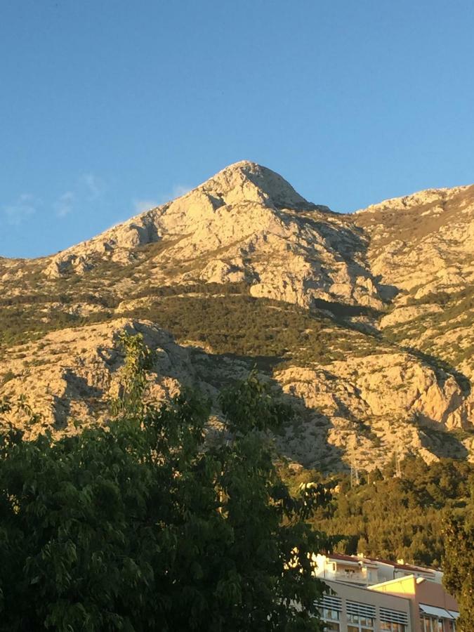 Drago Makarska